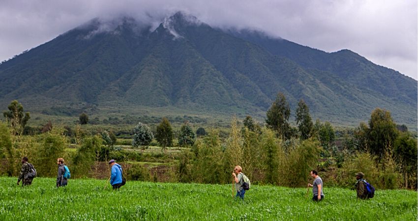 Scenic Walk Around Volcanoes National Park