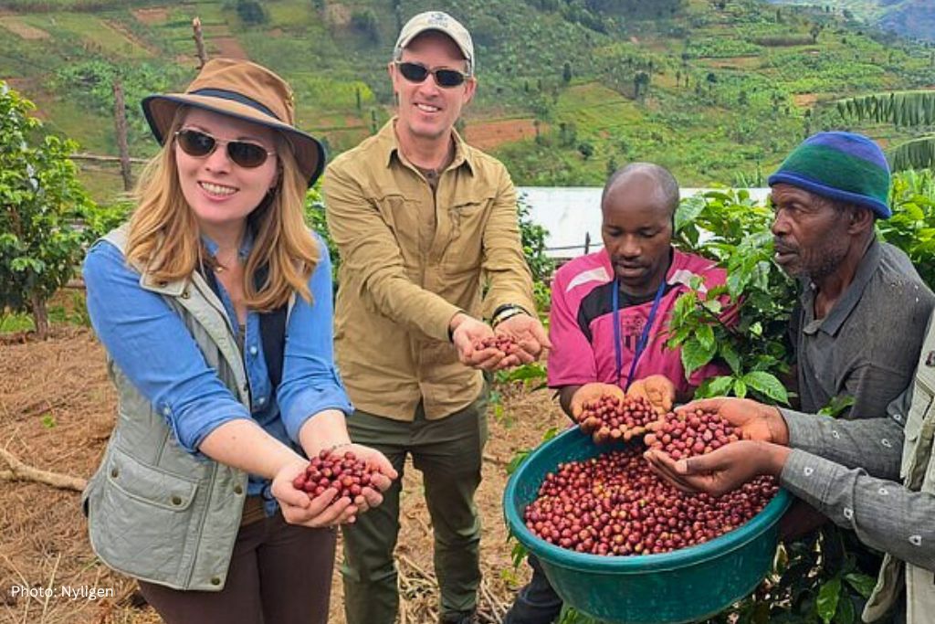 Visit Coffee Plantation In Musanze Rwanda